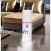 Jinjin Spray Humidifier Mini Moisturizing Fan Portable Face Spray Humidifier Water Hydrator with USB Charging Nano Spray Instrument (White) - B07F1FK84B
